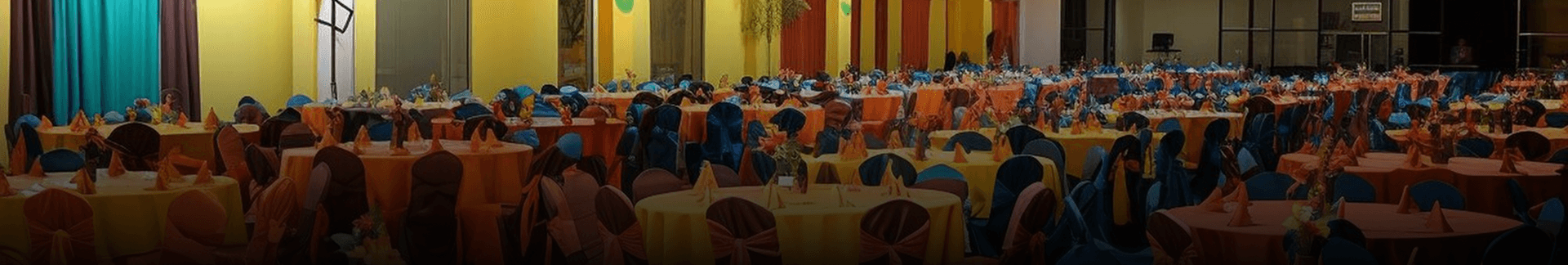 Vietnamese Student Association (VSA)